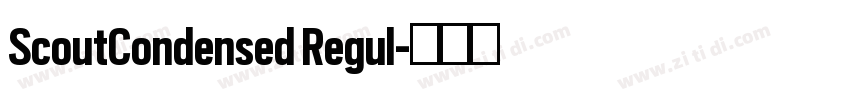 ScoutCondensed Regul字体转换